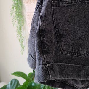 American Apparel 26" High Waisted Stone Wash Short